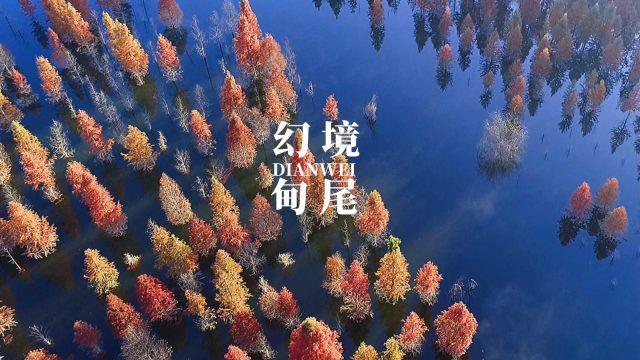 小猫钓鱼开船版最新版下载