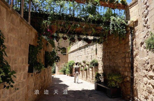 【天使手记】用胃镜下球囊扩张术为新生患儿 打通“生存通道”