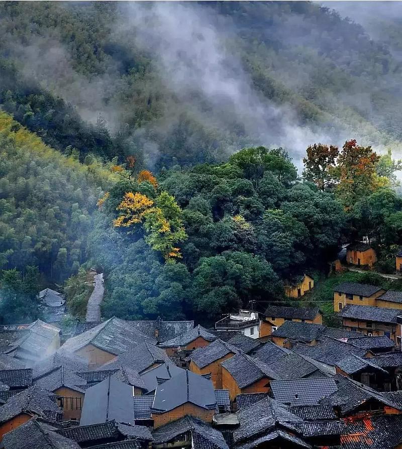 僵尸粉碎机
