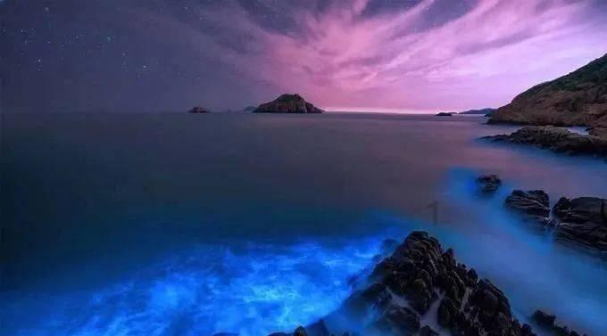 拯救红松鼠