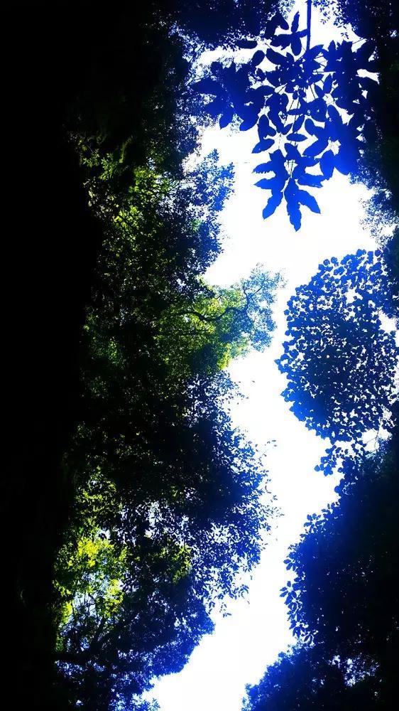 武斗纹章2初篇