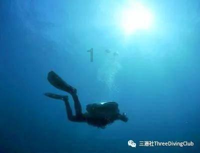 特种突击聪明的顺溜