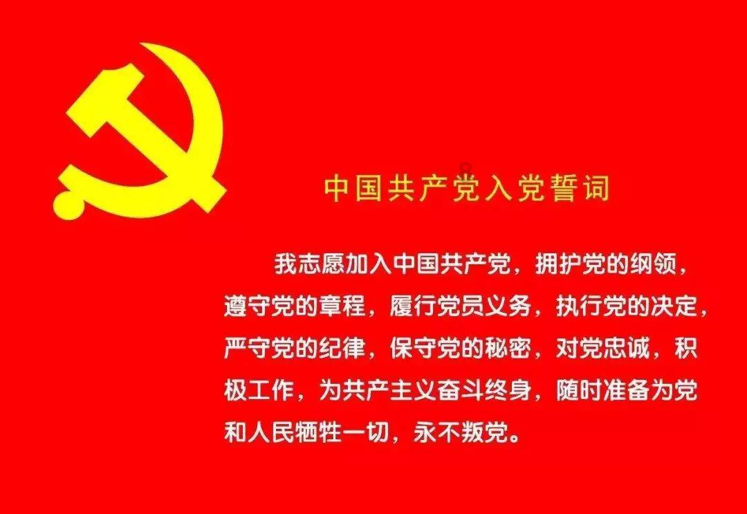 逗小猴开心系列198