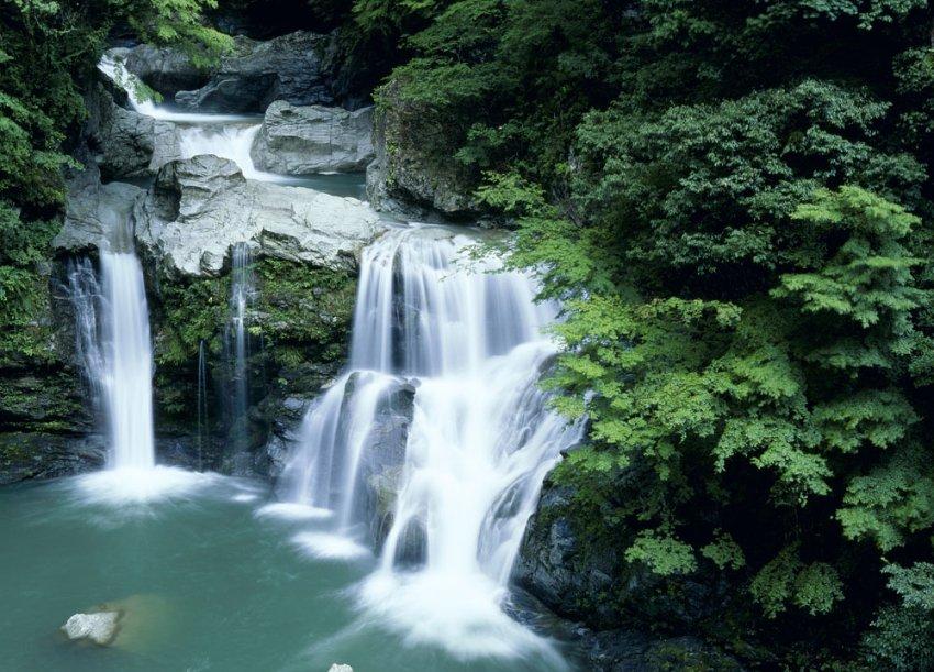 傲农生物预计2023年净亏损30亿元到36亿元