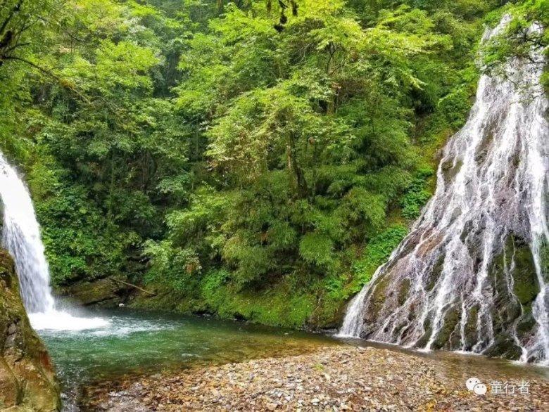 「2月直播预告」免费招生引流,总场次3000+