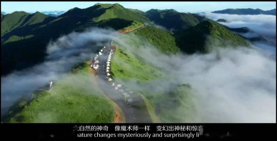 小艾比当营养师
