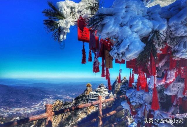 万词王